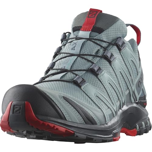 Salomon Herren Xa Pro 3d Gore-tex Traillaufschuhe, Lead Black Barbados Cherry, 45 1/3 EU