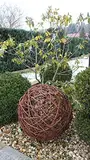 TOMENGBEIAABBCC Weidenkugel in 6 Größen, Dekokuge laus Weide Weidenball Gartenkugel Handgefertigt in EU (50cm)