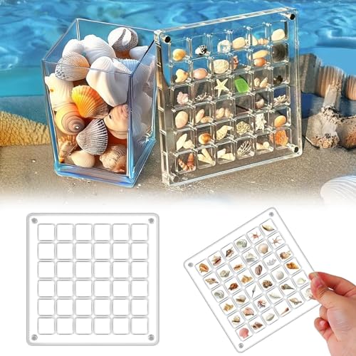 Muschel Displaybox 36 Grids Acrylic Magnetic Seashell Display Box Klare Muschel Ausstellungsbox Gitter Design Multifunktionale Transparente Schmuck Vitrine Diamond Jewelry Display Organizer Box