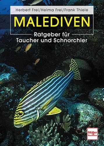 Malediven: Ratgeber für Taucher und Schnorchler