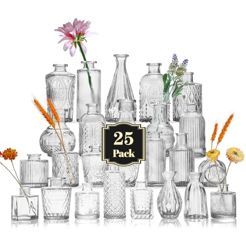 Glas-Budenvasen-Set mit 25 Stück, Mini-Klare Budenvase für Großbestellungen, Kleine Vintage-Blumenvasen für Hochzeiten, Partys und dekorative Tischdekoration zu Hause