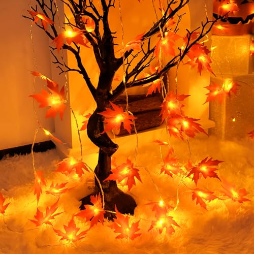 Isisyu Herbst Lichterkette, 3M 20 LED Ahornblatt Lichterkette Batterie mit Timer, Herbst Ahornblatt Girlande Dekoration Lichterkette für Halloween Kürbis Erntedankfest Thanksgiving Party Herbstdeko