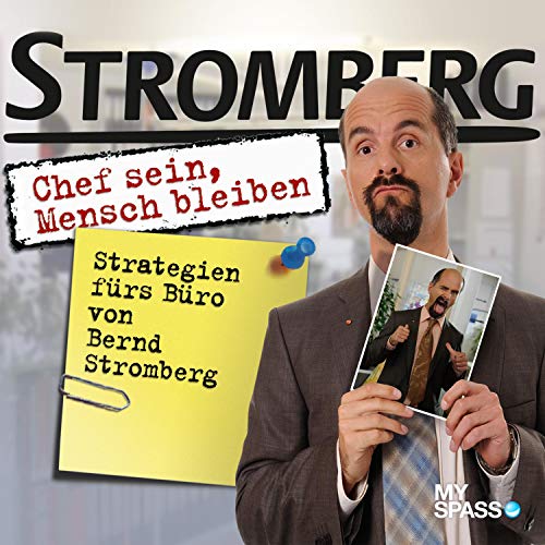 Stromberg - Chef sein, Mensch bleiben: Strategien für's Büro von Bernd Stromberg