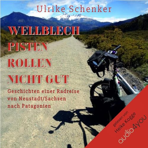 Wellblechpisten rollen nicht gut: Geschichten einer Radreise von Neustadt/Sachsen nach Patagonien