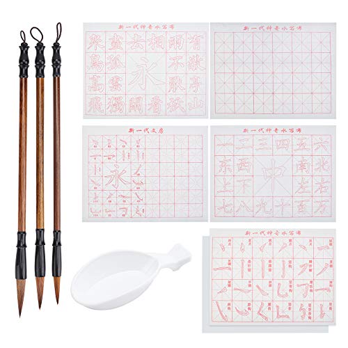 PandaHall 10pcs Chinesische Kalligraphie Set, Rasterpinsel Wasser Schreibtuch Papier Schreibtücher Mit Sienna Chinese Traditional Calligraphy Pinsel Und Wasserschale Für Anfänger Üben, No Ink