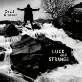 Luck and Strange (Vinyl) [Vinyl LP]