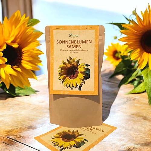 1000 Samen Große Gelbe Sonnenblume Samen Helianthus annuus Hohe große gelbe Blüten, Bienenmagnet Sonnen Blumen
