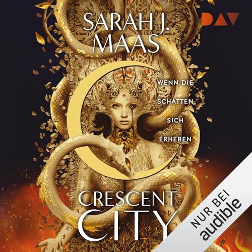 Wenn die Schatten sich erheben: Crescent City 3