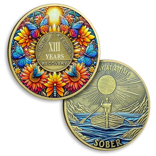 Nüchternheitsmünze für 13 Jahre, Sonnenblume, Zehnjährige Nüchternheit, Schmetterling, AA-Chips und Medaillon, ein Tag nach dem anderen, AA NA Münzwiederherstellung, Jahrestag, Nüchternheit, Geschenke