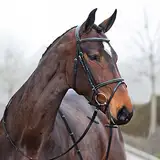 HORZE Pferde Trense Constance, Trensenzaum mit Zügel für Warmblut, Vollblut und Pony, Schwarz, F