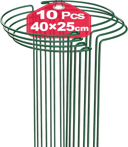 TOYPOPOR 10 Stück 25cm x 41cm Pflanzenstütze, Metall-Garten-Pflanzenpfähle, halbrund, Pflanzenstützring, Käfig für Pfingstrosen, Monstera, Hortensien, Rosen, Sedum, Gemüse, Tomaten (25 x 40 cm)