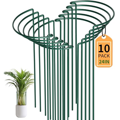 TIKTALK 10 Stück Pflanzenstützen Staudenhalter Halbrund Groß (25cmØ x 60cm H)-Robuste 4.5mm Draht Pflanzenhalter Für Pfingstrosen,Metall Staudenhalter Rund Für Kletterpflanzen,Stauden,Blumen