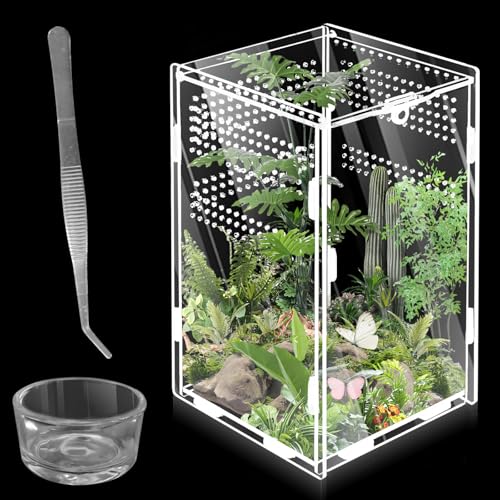 360 ° Acryl Terrarium Schnecken Terrarium: WIYETY Mini Transparent Acryl Terrarium, Reptil Fütterungsbox, Critter Box für Spide, Skorpion, Käfer, Gottesanbeterin, Reptilien Lebensraum(20x12x12cm)