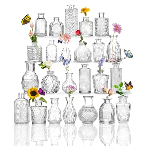 Kleine Glasvasen Set von 24, für Tischdekoration, Hochzeit, Empfang, Zuhause, Vintage-Flaschen, Transparent, Dekorative Glasvasen mit Deckeln(24, Transparent)