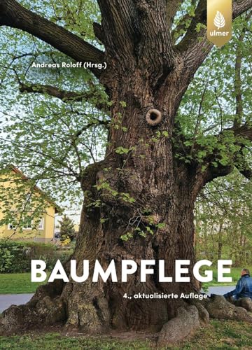 Baumpflege: Baumkontrolle, Baumbeurteilung, Baumschnitt, Verkehrssicherungspflicht, Vitalitätsbeurteilung, Baumbiologie