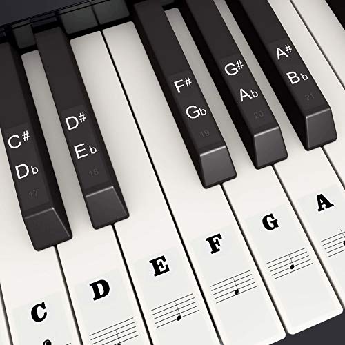 Fansjoy Klavier Keyboard Aufkleber für 37/49/54/61/88 Weiße und Schwarze Tasten, Noten-Aufkleber Klaviertasten Aufkleber für Kinder und Anfänger, Transparent Entfernbar