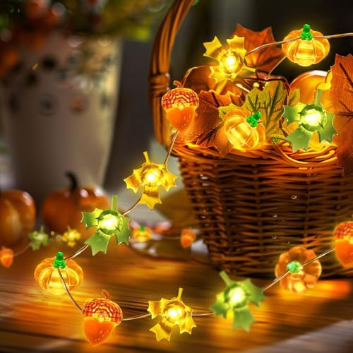 Coquimbo Herbst Dekoration LED Lichterkette, 3M 30LED Kürbis Ahornblatt Eichel Lichterkette Innen und Außen, Batteriebetrie Herbst Dekoration für Erntedankfest Halloween Party