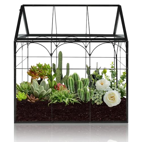 22cm Terrarium Glas Mini Terrarium Geometrisches Pflanzen Terrarium Fleischfressende Pflanzen Terrarium für fleischfressende Sukkulenten Kakteen