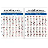 MILISTEN Mandoline Akkorde Üben Mandoline-akkord-poster Mandoline-akkord-referenz Poster Mit Mandoline-akkorden Mandoline Referenz Diagramm Mandolinentrainer Karte Kupferplatte Laminierung