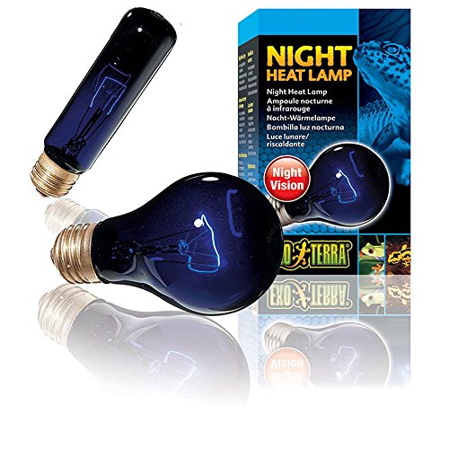 Exo Terra Night Heat Lamp, Mondscheinlampe für Reptilien und Amphibien, 50W, Fassung E27