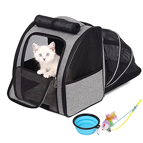 Katzenrucksack Hunderucksack, Erweiterbarer Haustier Rucksack für Kleine Hunde Katzen, von der Fluggesellschaft Zugelassen, Belüftetes Design für Reisen, Wandern & Draussen (Grau)