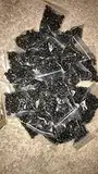 Seeds germination seeds: sabal minor "nain palmetto" - 50 paginé samen