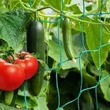 ANYUNKEY Premium Ranknetz mit großer Maschenweite für besonders ertragreiche Ernte von Gurken, Tomaten und Kletterpflanzen Das Optimale Rankhilfe Netz für Garten, mit Pflanzenclips Set(2 X 2.5 Meter)