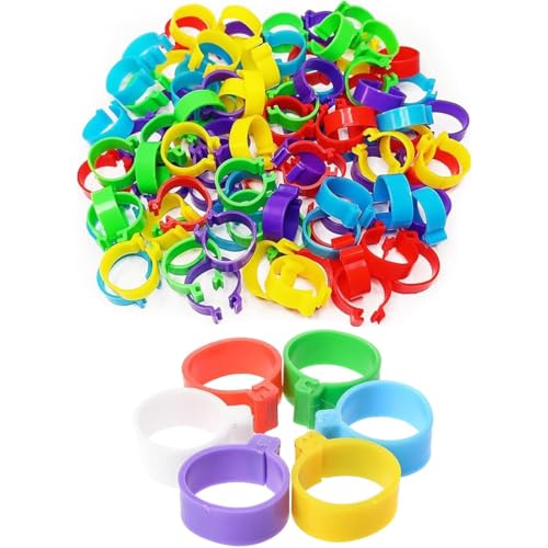 60 Stück Geflügel Band, hühnerringe,Plastikgeflügel Beinringe für Hühner, Enten, Hühner, Taube, Kleintiere, 6 Farben, leicht zu unterscheiden