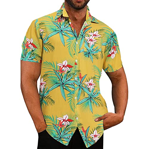 Generisch Kurzarmhemd Herren Sommer bügelfrei Kurzarmhemd Herren blau kariert Herren Hemden Slim fit weis Kurze Hemden Herren Sommer Sommer Hemden Herren Hemden Herren Slim fit