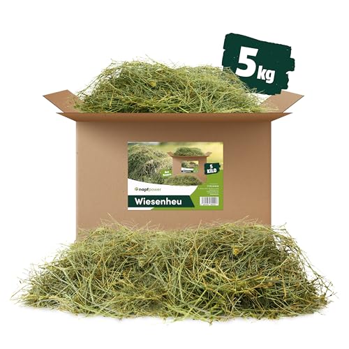 napfpower 5 kg Heu direkt vom Hof | 1. Schnitt Wiesenheu aus Bayern | hochwertiges & unbehandeltes Heu für Futter & Einstreu von Kaninchen, Hamster, Meerschweinchen & Hasen