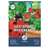 Plantura Siebenpunkt-Marienkäfer gegen Blattläuse, wirksam & nachhaltig, 10 Nützlinge