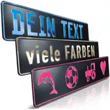 schildEVO 1 Fun-Schild geprägt | Carbon mit Wunschtext bis zu 16 Zeichen | Aluminium Namensschild | Individuelles Fun-Kennzeichen | Bohrlöcher & Saugnäpfe