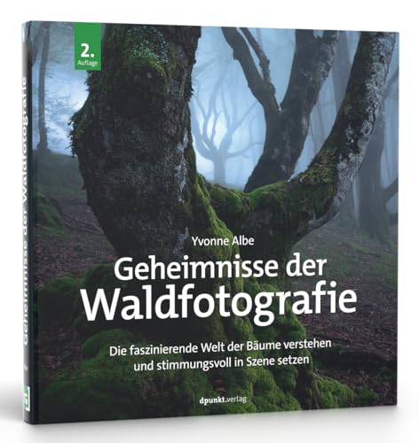 Geheimnisse der Waldfotografie: Die faszinierende Welt der Bäume verstehen und stimmungsvoll in Szene setzen