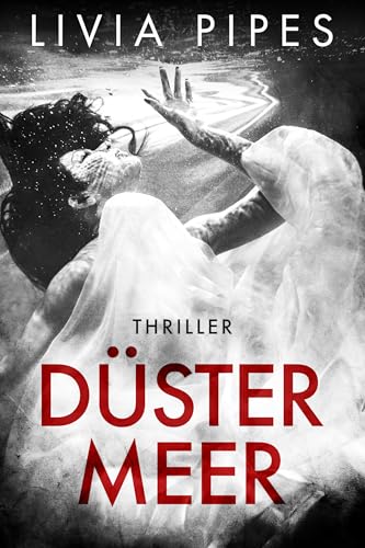 Düstermeer: Thriller (Kati Lindberg-Reihe 10)