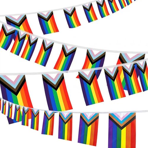 Dinghaole 10 Meter Progress Pride Wimpelkette mit 38 Wimpelflaggen, Progress Pride Wimpel Flaggen Banner, Bisexuell, Transgender, Pansexuell, für Stolzmonats-Dekorationen, Balkon, Bars usw