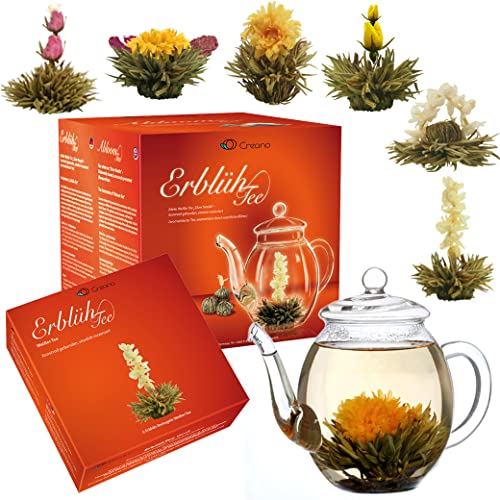 Creano Teeblumen Geschenkset - Erblühtee Frühjahrslese mit 500ml Glaskanne & 6x Weißer Tee - 7 teilig - Geschenk zu Muttertag