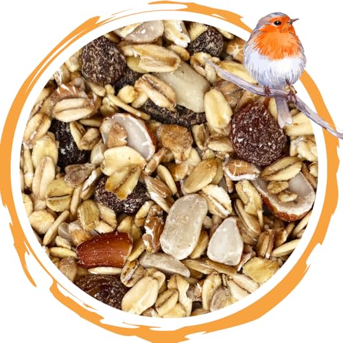 Daily Fettfutter – 10 kg Hochwertiges, energiereiches Gartenvogelfutter | Premium-Mix aus Hafer- und Weizenflocken, Erdnussbruch, Rosinen und Pflanzenöl | ganzjährig geeignet | 100% Natur