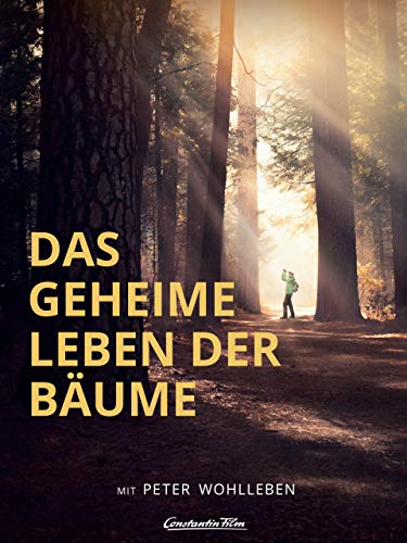 Das geheime Leben der Bäume