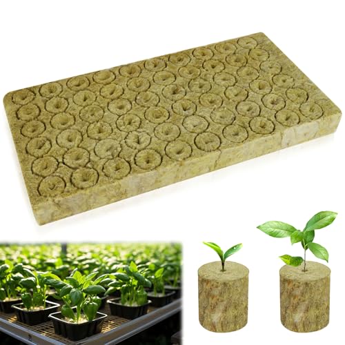 Nuyoah Steinwolle Anzucht Würfel Hydroponik Rockwool Cube Steinwollwürfel 2x2x2.7cm 60Stk Rockwools Grow Cubes Pflanzen Hydroponic Steinwolle Rund für Bodenlose Anzucht Stecklinge Klonpflanzen