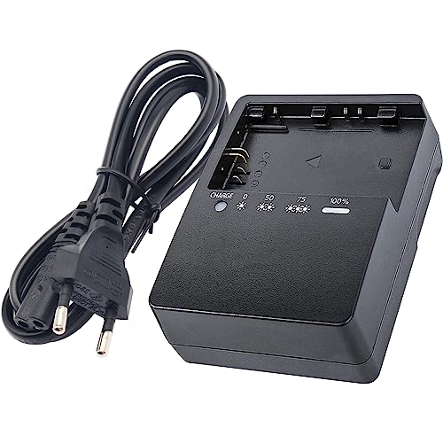 LC-E6 Akku Schnellladegerät Kompatibel mit LP-E6 LC-E6E LC-E6 Akkus für Canon EOS R R5 R6 6D 7D 5D 5DS 5DS R 60D 60DA 70D 80D 5D Mark III 90D Mark II Kameras Stromversorgung