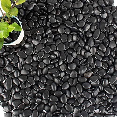 PIQIUQIU Schwarze Polierte Kieselsteine Steingarten Gehweg Garten Dekorative Steine 10-20mm 1KG