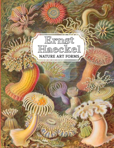 Ernst Haeckel | Nature Art Forms: 70 Amazing Masterpieces Plates
