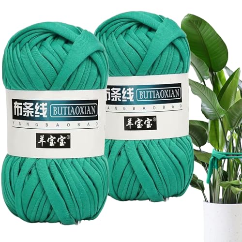 2 Roll Garden String 105ft Langweiche flexible grüne Gartenschnur Dehnbare Stütze Pflanzenkrawatten für Junge Baum, Blumen, DIY -Bastelschnur, weiche Krawatten für Pflanzen