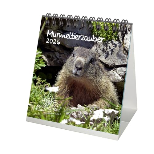 Murmeltierzauber Tischkalender 10cm x 10cm für 2026 Murmeltier - Seelenzauber