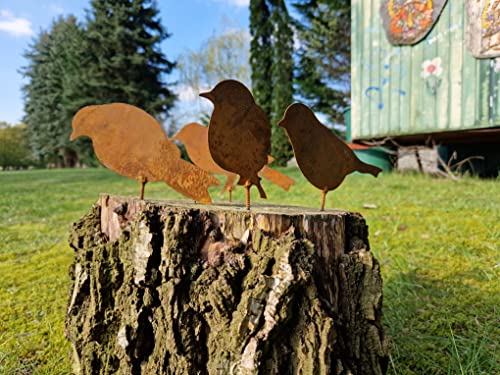 Allrounda Rost Vögel mit Schraube für Holz - 4 Stück - Rost Vogel - Gartendeko - Dekoration in Rostoptik Herbst