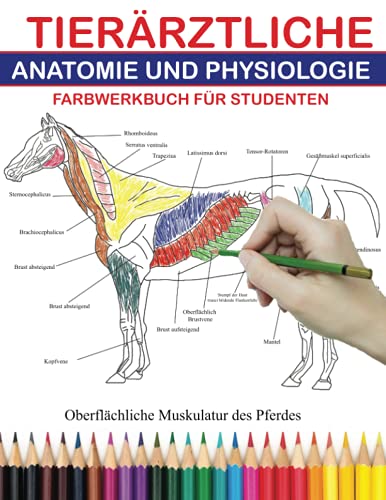 TIERÄRZTLICHE ANATOMIE UND PHYSIOLOGIE FARBWERKBUCH FÜR STUDENTEN: Das ultimative Malbuch für Zoologie. Erfahren Sie mehr über Tiere wie Pferd, Hund, ... Perfektes Geschenk für Erwachsene und Kinder