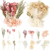 LAUMOE 2 Sätze Trockenblumen zum Basteln, Getrocknete Blumen Weiß Lila für Kunst und Dekoration