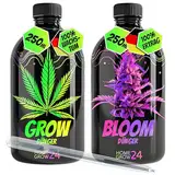 HOMEGROW24 Cannabis Dünger Duo - Grow und Bloom Flüssig NPK Pflanzendünger für Indoor, Outdoor & Autoflower und Growbox geeignetes Hanf Dünger Anbau Set (2x250ml)