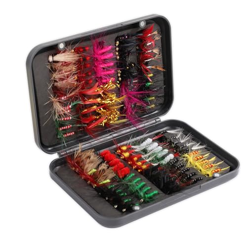 100 Stück Fliegenfischer Set, Fliegenfischen Fliegen Set mit Aufbewahrungsbox Nass-Trockenfliegen Nymphen Streamer Fliegenköder Köder Haken für Forelle Barsch Lachs Fliegenfischen Zubehör