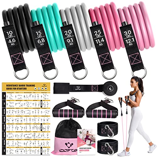 Resistance Bands Widerstandsbänder Set, 5 Fitnessbänder Expander Tube Bands, Fitnessband mit Großem Griff Knöchelriemen Türankerbefestigung Tragtasche, Ideal für Pilates Krafttraining Physiotherapie